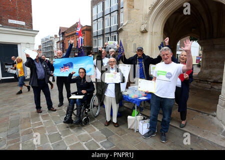 Chichester, West Sussex, UK. Eine Gruppe sammeln von Unterschriften in Chichester Innenstadt ein 'Völker Stimme" auf der abschließenden Brexit Angebot zu verlangen. Samstag, 22.September 2018 © Sam Stephenson/Alamy Leben Nachrichten. Stockfoto