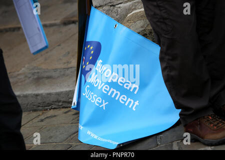 Chichester, West Sussex, UK. Eine Gruppe sammeln von Unterschriften in Chichester Innenstadt ein 'Völker Stimme" auf der abschließenden Brexit Angebot zu verlangen. Samstag, 22.September 2018 © Sam Stephenson/Alamy Leben Nachrichten. Stockfoto