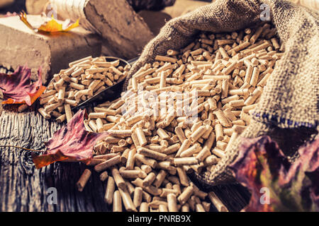 Holz gedrückt, Pellets und Briketts aus Biomasse mit Blätter im Herbst. Stockfoto