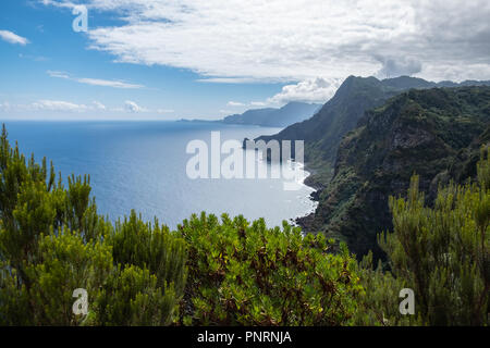 Nordküste von Madeira, Santana Dorf Stockfoto