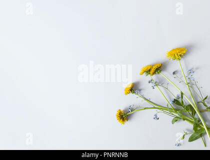 Florale Komposition mit fünf Löwenzahn auf grauem Papier Stockfoto