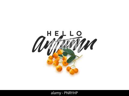 Hallo Herbst, schwarzer Text handschriftlich Kalligraphie. Vector Illustration Stock Vektor