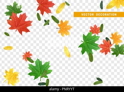 Bunte Herbst Laub. Blätter im Herbst Ahorn und andere Bäume. Der Effekt auf transparenten Hintergrund. Stock Vektor