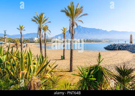 Blick auf den wunderschönen Strand mit Palmen in Marbella in der Nähe von Puerto Banus Marina, Andalusien, Spanien Stockfoto