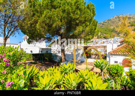 Green Park mit tropischen Pflanzen im weissen Dorf Mijas, Andalusien Stockfoto