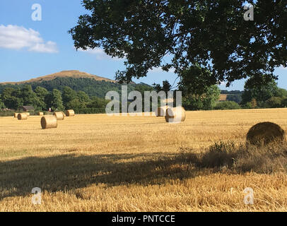 Britische Lager (der Herefordshire Beacon) von Colwall bei der Ernte Stockfoto