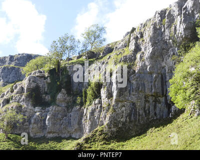 Der Eingang zum Gordale Scar mit ihren Kalkfelsen, in der Nähe von Malham, in den Yorkshire Dales, Großbritannien Stockfoto