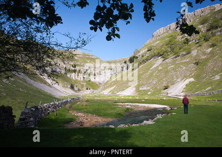 Der Eingang zum Gordale Scar mit ihren Kalkfelsen und Gordale Beck läuft, in der Nähe von Malham, in den Yorkshire Dales, Großbritannien Stockfoto