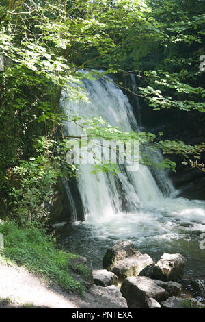 Janet's Foss, ein kleiner Wasserfall auf gordale Beck in der Nähe von Malham in North Yorkshire, England Stockfoto