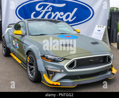 ROYAL OAK, MI/USA - August 17, 2018: A 2019 Ford RTR Eagle Squadron Ford Mustang (XROK) an der Woodward Dream Cruise. Erbauer: Vaughn Gittin jr. Stockfoto