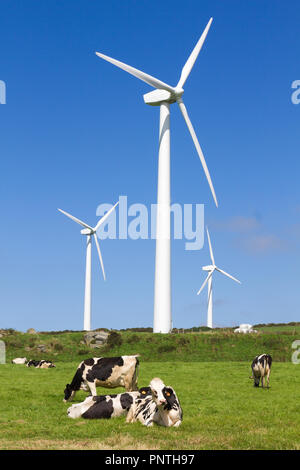 Pico Gallo, Tineo, Asturien, Spanien. Milch Kühe auf einer Wiese mit Windkraftanlagen im Hintergrund. Stockfoto