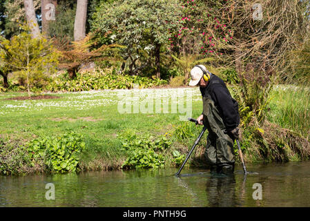 Schatzsuche in den Fluss Avon, Christchurch, Neuseeland Stockfoto