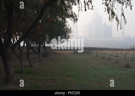 Taj Mahal die Wunder der Welt und der Stolz von Indien im Winter am frühen Morgen Licht und Dunst ab Mehtab Baug mit Bäumen im Vordergrund Stockfoto