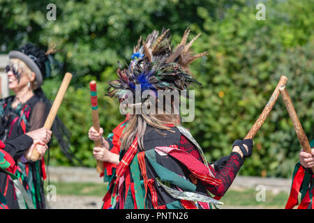 Swanage Folk Festival Sonntag, 9.September 2018, Menschenmassen Herde der Spaß von Morris Tanzen in der Sonne zu beobachten. Stockfoto