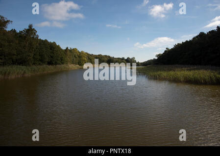 Prerowstream ist ein Arm oder Einlass der Ostsee im Nordosten Deutschlands durch einen Wald mit Kiefern, Eichen und Rotbuchen umgeben. Stockfoto