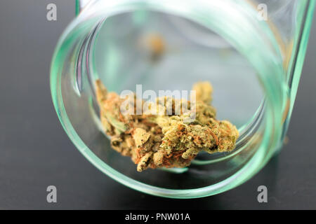 Lemon Haze Marihuana Belastung in einem Glas Stockfoto