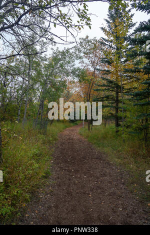 Edworthy Park Calgary, Alberta Kanada Stockfoto