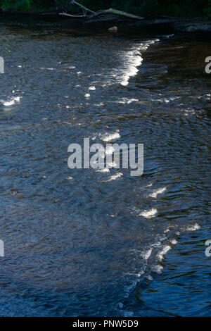 Kleine Stromschnellen des Saranac River fließt in Richtung Lake Champlain Stockfoto