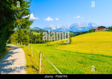 Wander- und Radweg entlang der grünen Wiese in Gieringer Weiher, Kitzbüheler Alpen, Österreich Stockfoto