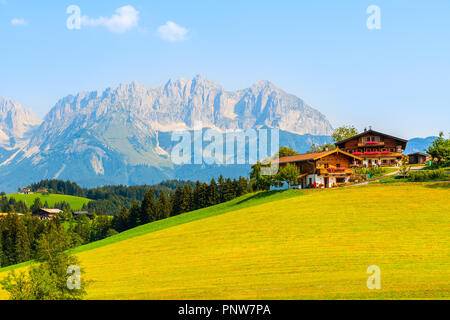 Traditionelle Häuser auf der grünen Wiese in Gieringer Weiher, Kitzbüheler Alpen, Österreich Stockfoto