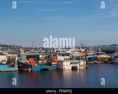 Angeln/Vergnügen Boote bei Poole Quay/Hafen in Dorset, England, Großbritannien Stockfoto