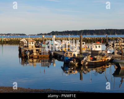 Angeln/Vergnügen Boote bei Poole Quay/Hafen in Dorset, England, Großbritannien Stockfoto