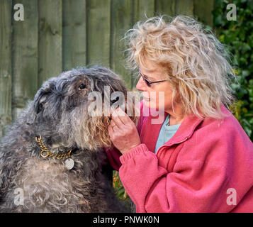 Ein Hund (Bouvier des Flandres) und ihre liebevolle Eigentümer teilen sich einen intimen Moment über einen Keks Stockfoto