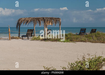 Vier leere Stühle und ein zackiges Palapa auf einem breiten Sandstrand der Karibik Strand an einem sonnigen Tag auf der Isla Holbox in Mexiko Stockfoto