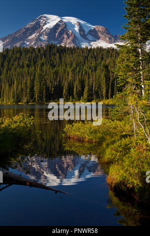 Mt. Rainier vom Reflexion See Stockfoto