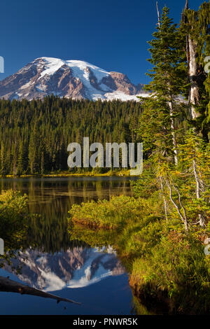 Mt. Rainier vom Reflexion See Stockfoto