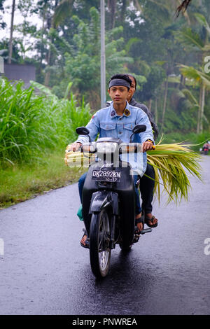 Ein junger Mann und eine Frau auf einem Motorrad in Bali, Indonesien Stockfoto