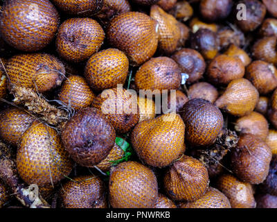 Salak, auch als Schlange Obst - zum Verkauf auf einen Markt in Bali bekannt Stockfoto