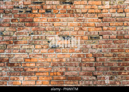Old Red Brick Wall. Nahaufnahme von Backsteinen. Stockfoto