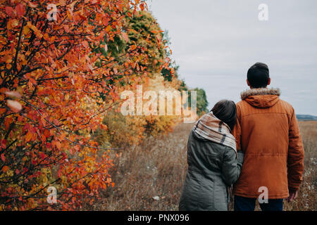 Junges Paar in Liebe Spaziergänge im Herbst Wald unter bunten Bäume Stockfoto