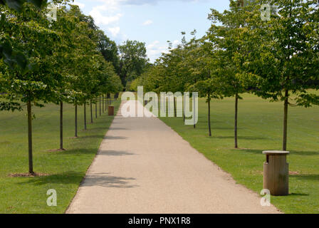 Lange geraden Weg in den öffentlichen Park Stockfoto