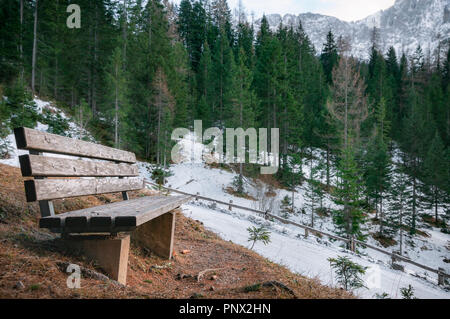Der frühe Winter Landschaft mit einer Holzbank auf der Seite eines Alpine Road, verschneiten Tannenwald und Berggipfel, in Ehrwald, Österreich. Stockfoto