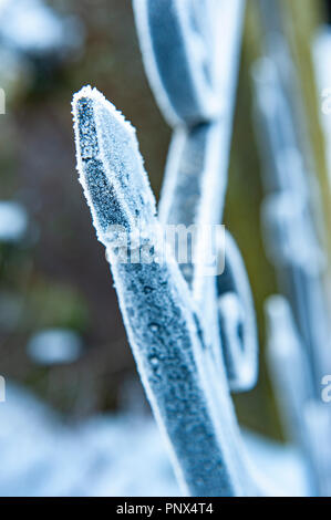 Gefrorene Schneeflocken auf einem eisernen Tor im Winter Stockfoto