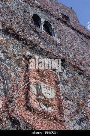 ESCUDO DE LOS VELARDE EN EL PALACIO DE VELARDE TAMBIEN CONOCIDO COMO EL PALACIO DE LAS ARENAS - SIGLO XVI. Lage: PALACIO DE VELARDE. Kantabrien. Spanien. Stockfoto