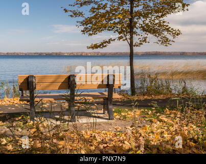 Leeren Parkbank durch gefallene gelbe Blätter unter einem Baum am Seeufer entlang in Vater Hennepin State Park im nördlichen Minnesota umgeben. Stockfoto