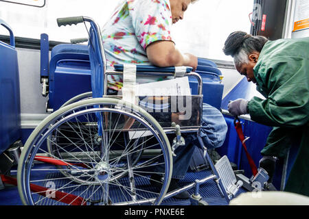 Miami Beach Florida, Bus, Passagiere Passagiere Fahrer, Miami-Dade Metrobus Fahrer, Mann Männer männlich, Behinderte spezielle Bedürfnisse, Behinderte Rad Stockfoto