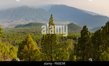 Misty Caldera de Taburiente Landschaft am Morgen, La Palma, Kanarische Inseln Stockfoto