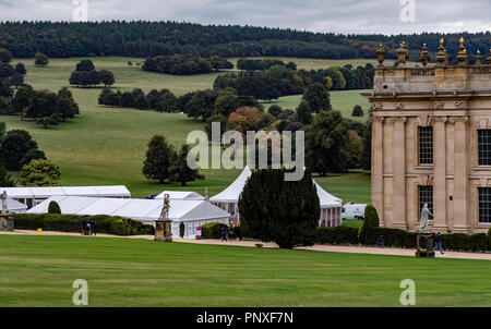 Spaniel Ausbildung Chatsworth Stockfoto