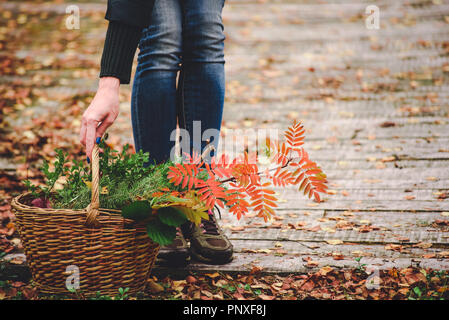 Mädchen schlägt Korb von orange Blätter von Mountain Ash und anderen grünen Pflanzen vor dem Hintergrund der Holzbretter im Herbst anzeigen Stockfoto