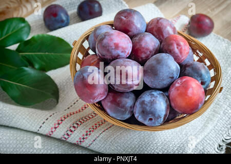 Auf der Tabelle auf eine Serviette Weidenkorb mit Reifen große Pflaumen gefüllt. Stockfoto