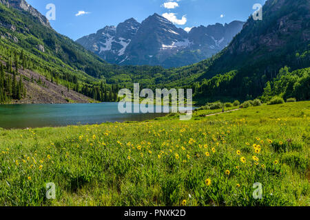 Die Feder am Maroon Creek Valley - Wildblumen blühen in den Maroon Creek Valley, mit kastanienbraunen Glocken und Maroon See im Hintergrund, Aspen, Colorado, USA Stockfoto