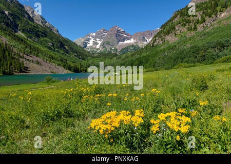 Maroon Creek Valley - ein sonniger Frühling Blick auf Maroon Creek Valley, mit kastanienbraunen Glocken und Maroon See im Hintergrund, Aspen, Colorado, USA. Stockfoto