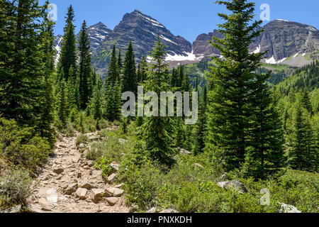Crater Lake Trail - ein robustes Wanderweg schlängelt sich durch einen Pinienwald an der Basis der kastanienbraunen Glocken, Aspen, Colorado, USA. Stockfoto