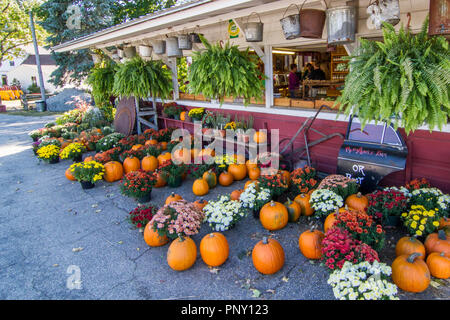 Bauernhof stehen im Herbst verkaufen kürbisse Stockfoto