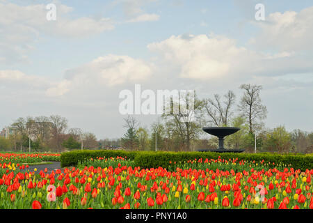 Die Kolonialen Töchter Brunnen inmitten eines Feldes von roten und gelben Tulpen im Frühjahr im Rahmen einer teilweise bewölktem Himmel in St. Louis Forest Park auf einem April Abend Stockfoto