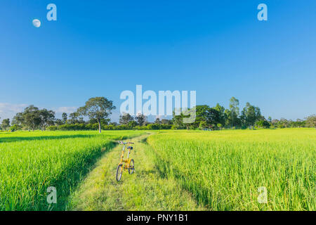 Abstrakte Soft Focus Semi Silhouette das Fahrrad auf den irdenen Deich gras Road, Rohreis, Feld mit dem schönen Himmel und Wolke im afte Stockfoto